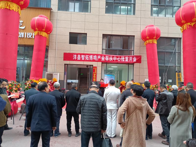 图2.jpg